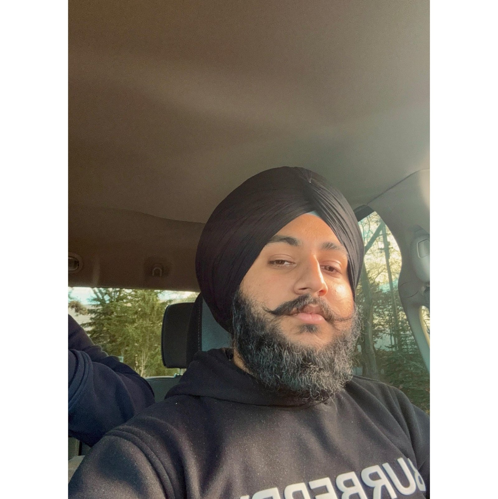 Sahib Bal Artist